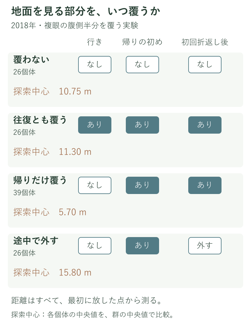 複眼の腹側を覆う時期の比較。覆わない10.75m、往復とも覆う11.30m、帰りだけ覆う5.70m、初回折返しで外す15.80m